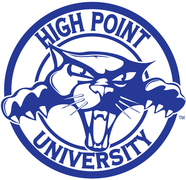 High Point Panthers 2004-2011 Alternate Logo iron on transfers for fabric